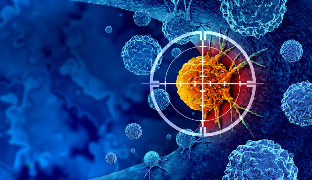 cancer cells targeted
